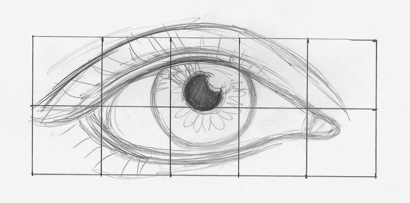 Глаз чертеж. Анатомия глаз для рисования. Схема рисования глаза карандашом. Пропорции глаза человека для рисования. Анатомия человеческого глаза для рисования.