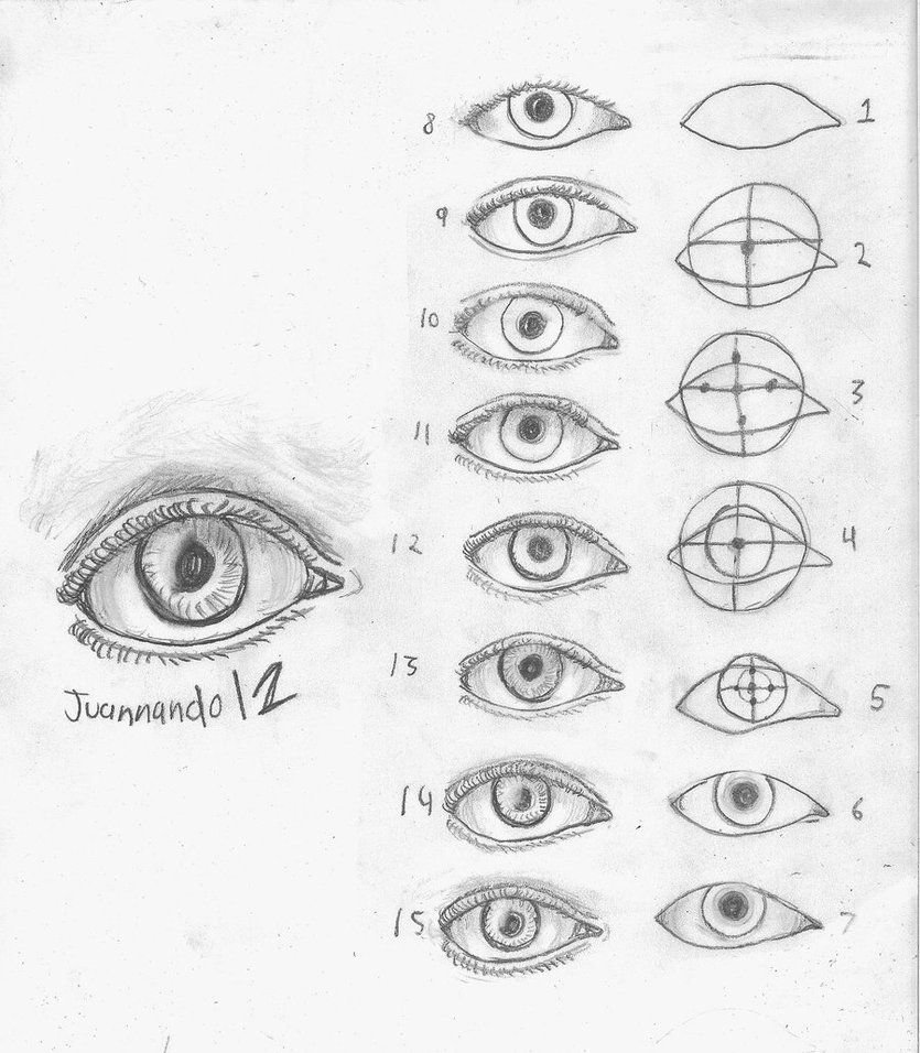 Схема построения глаза в рисунке
