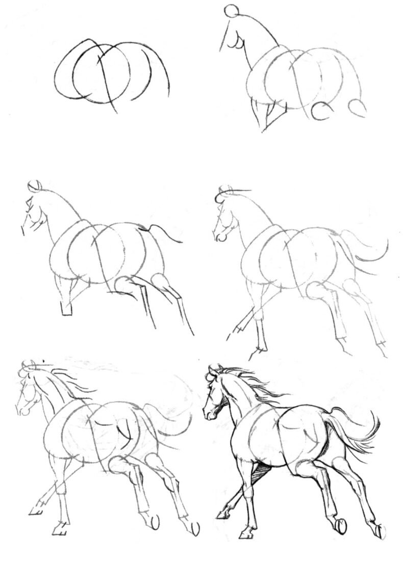 Пошаговое рисование лошади