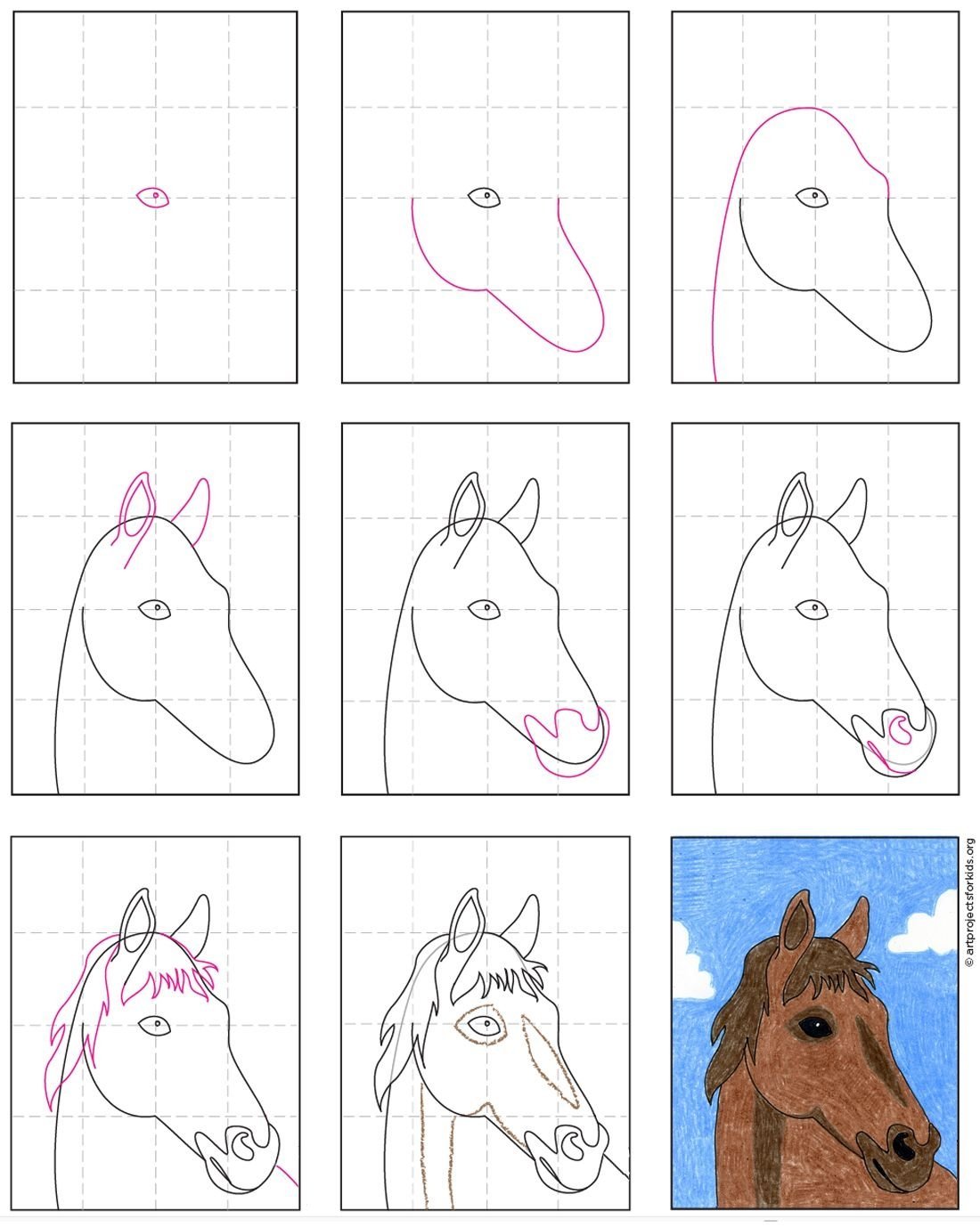 Схема рисования головы лошади