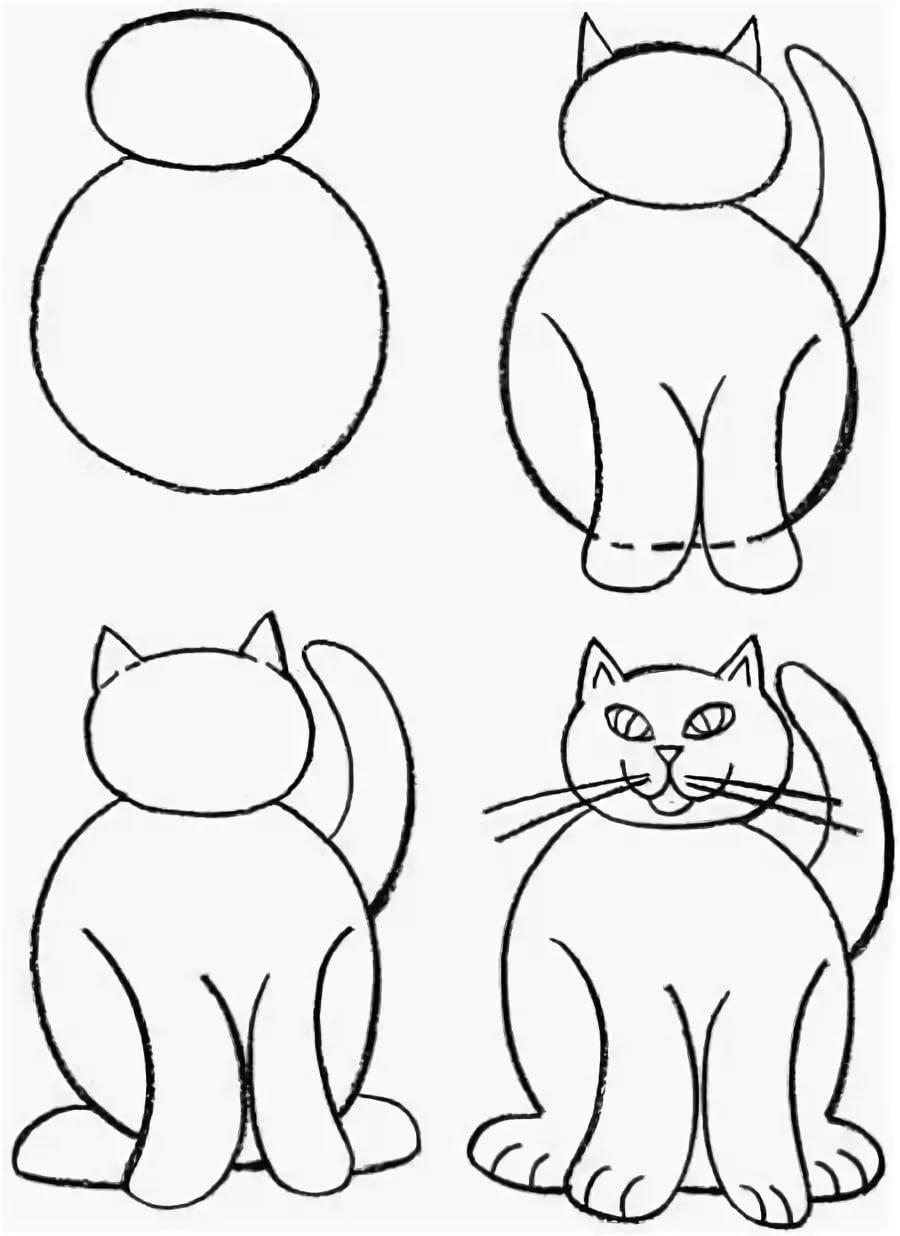 Схема рисования кошки для детей старшей группы