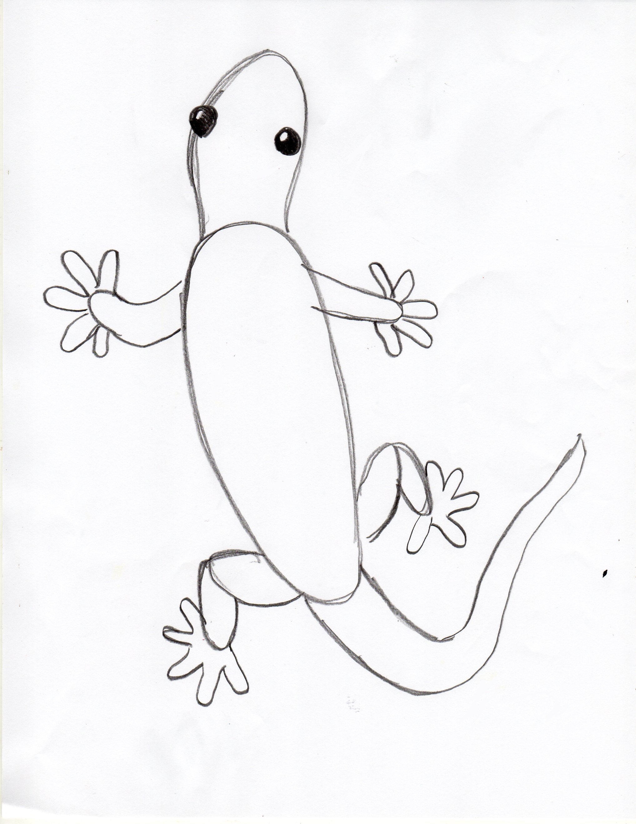 Поэтапное рисование ящерицы для детей