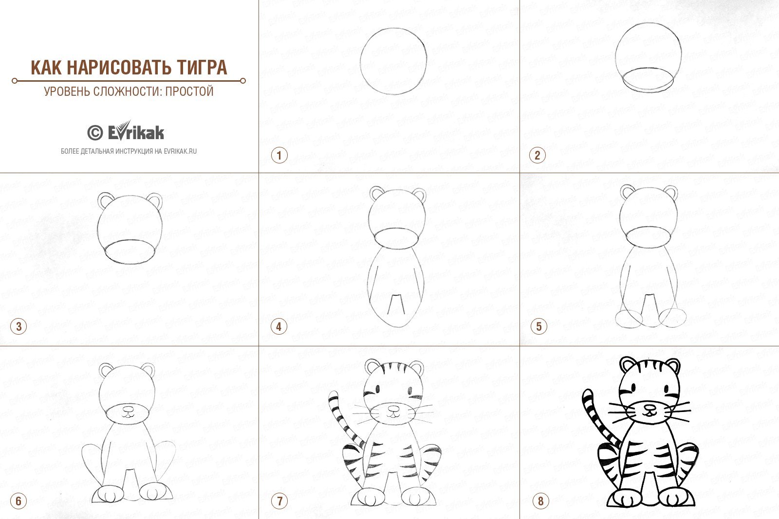 Рисование тигренка для детей поэтапное рисование