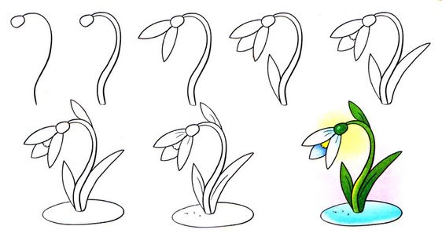 цветы картинки для детей нарисованные карандашом