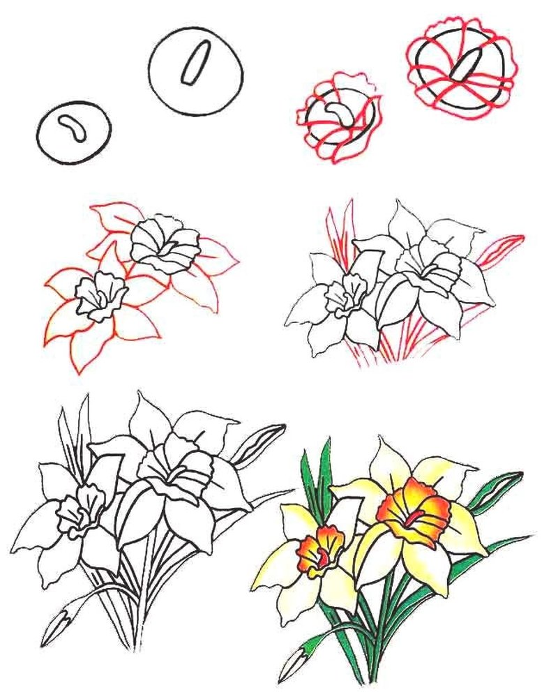 Как можно нарисовать цветок. Поэтапное рисование цветов. Цветы рисунок карандашом. Цветы для рисования. Поэтапное рисование цветы карандашом.