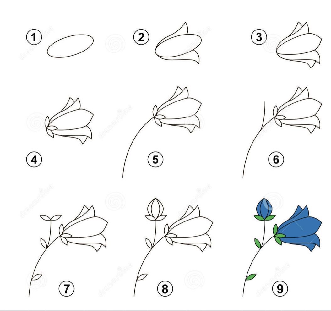 Как нарисовать колокольчик цветок поэтапно