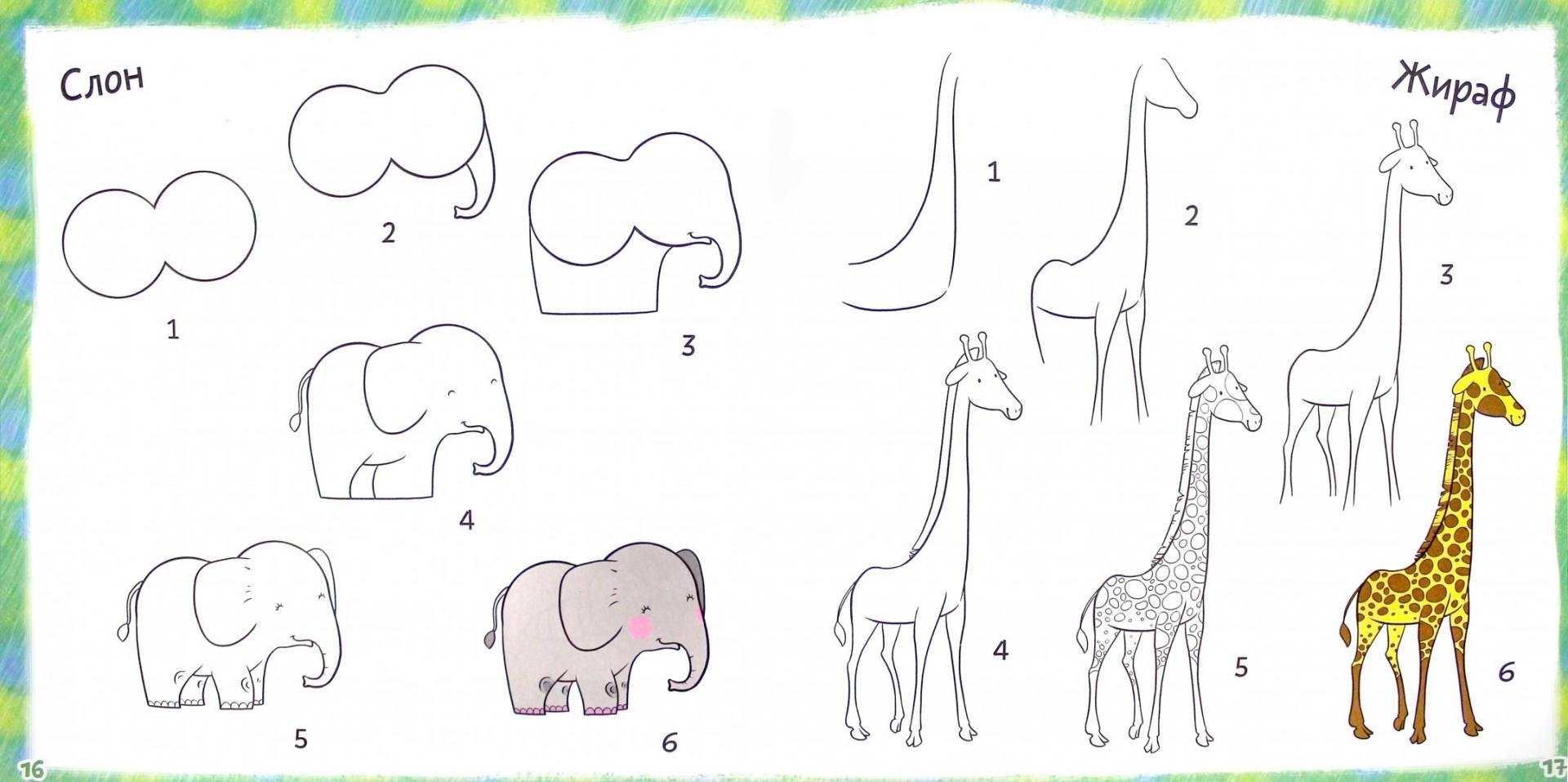 Рисование животные Африки для детей