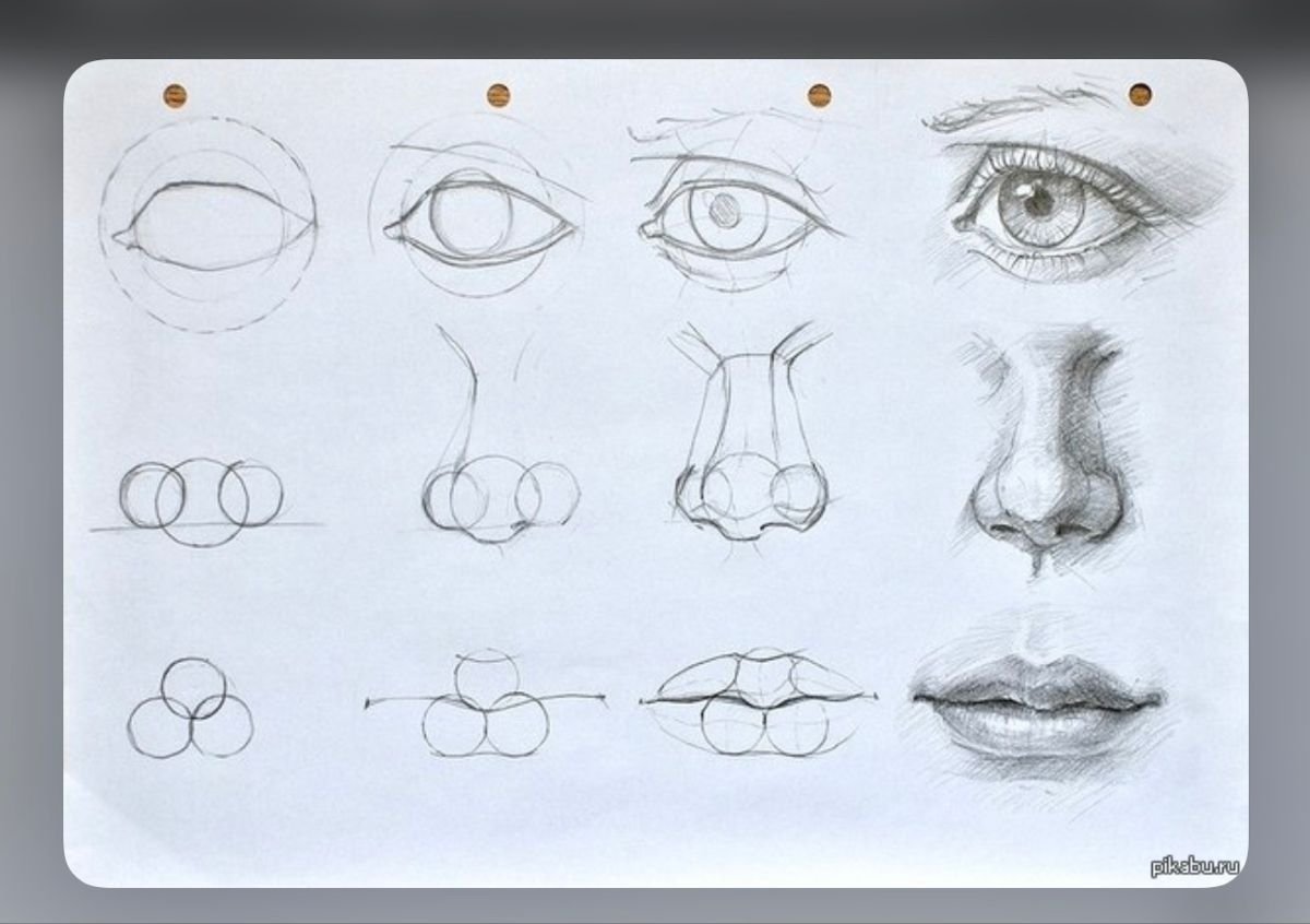 Уроки рисования карандашом части лица