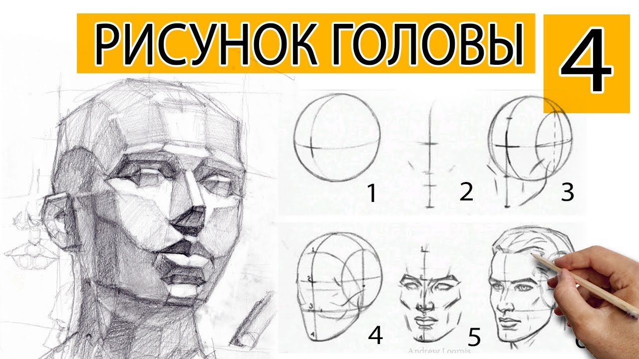 Рисунок головы человека схема рисунок