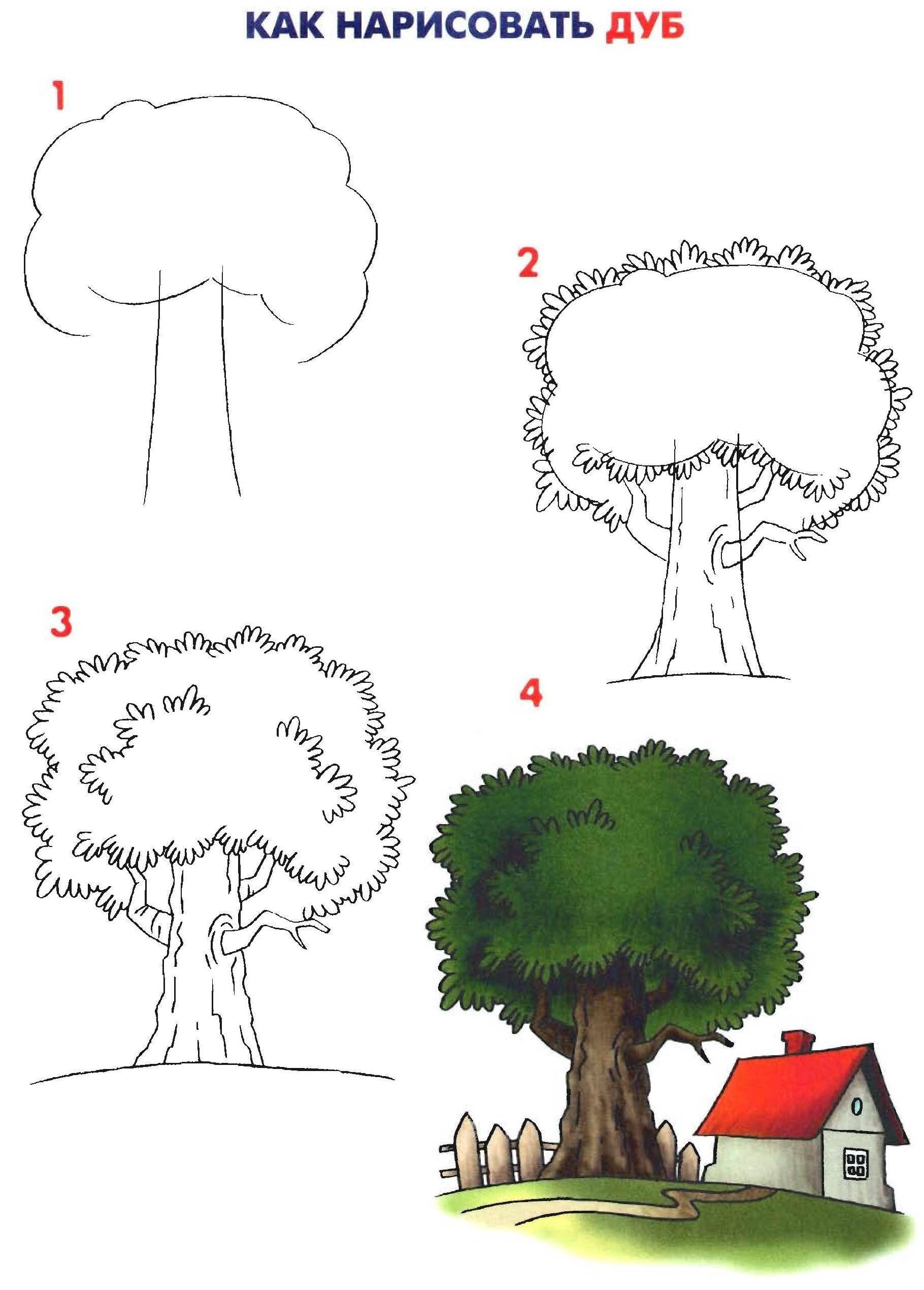 Поэтапное рисование дерева для детей