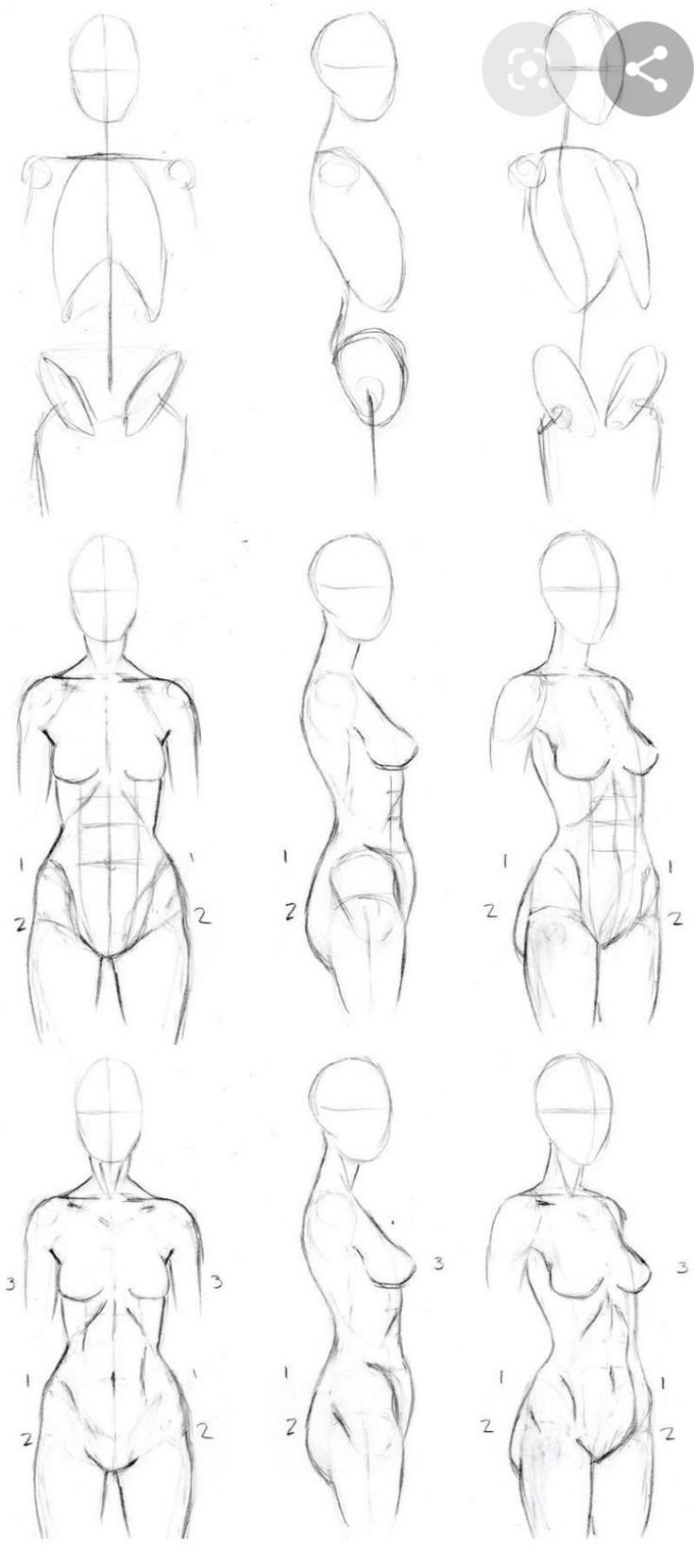 Женское тело рисунок