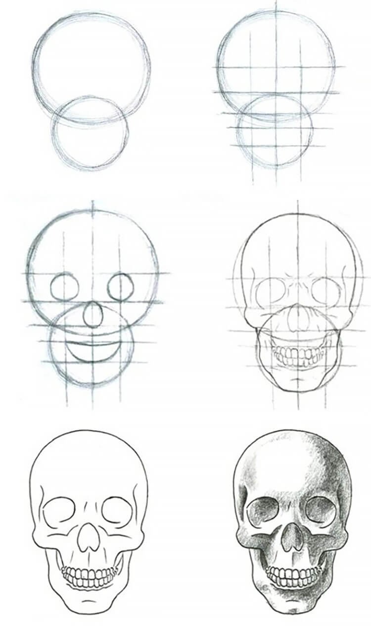 Поэтапный рисунок черепа