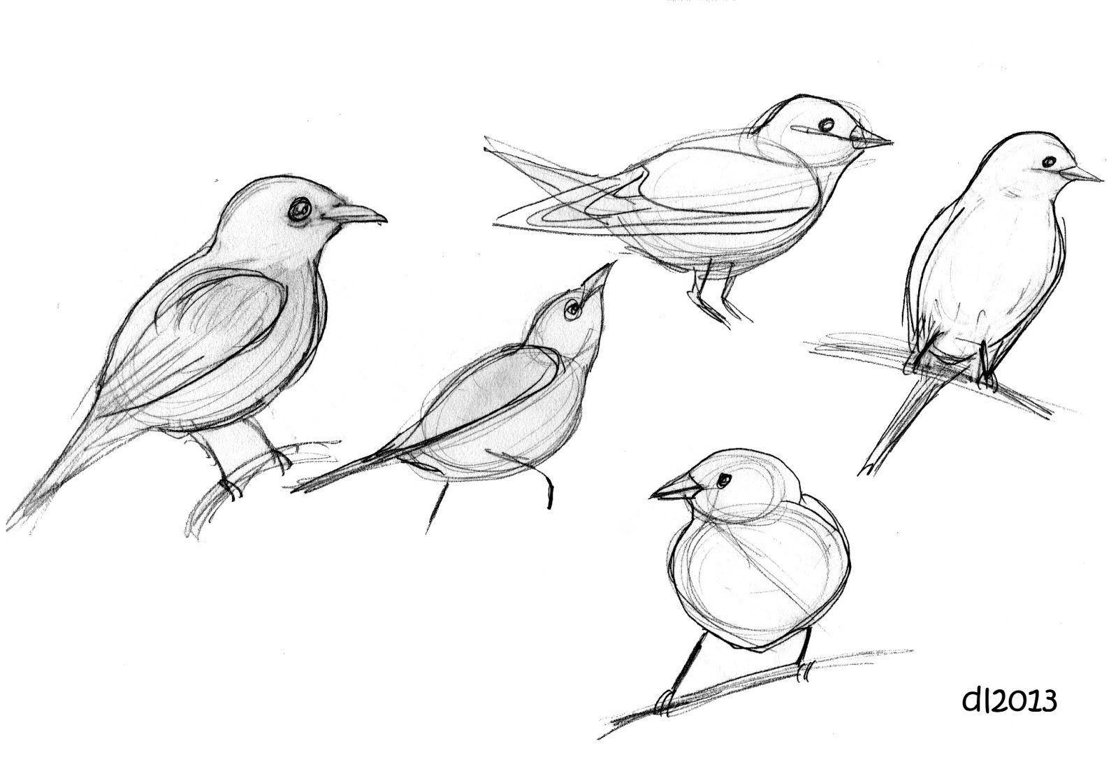Наброски птиц карандашом для начинающих