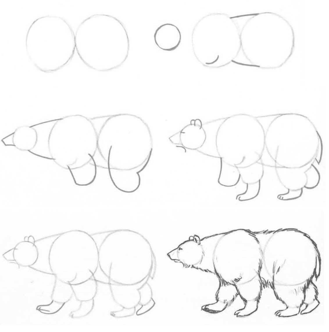 Нарисовать медведя пошагово