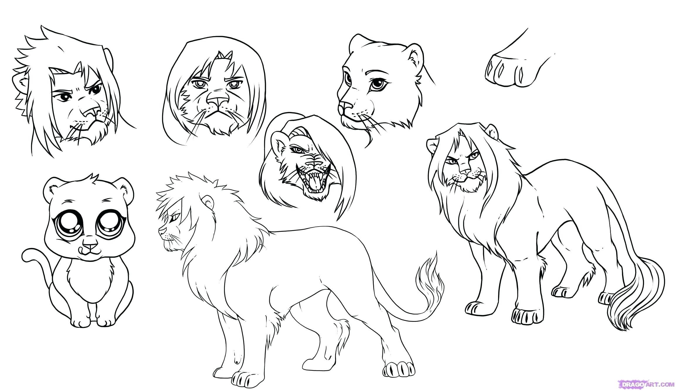 Рисунок Льва для срисовки легкие