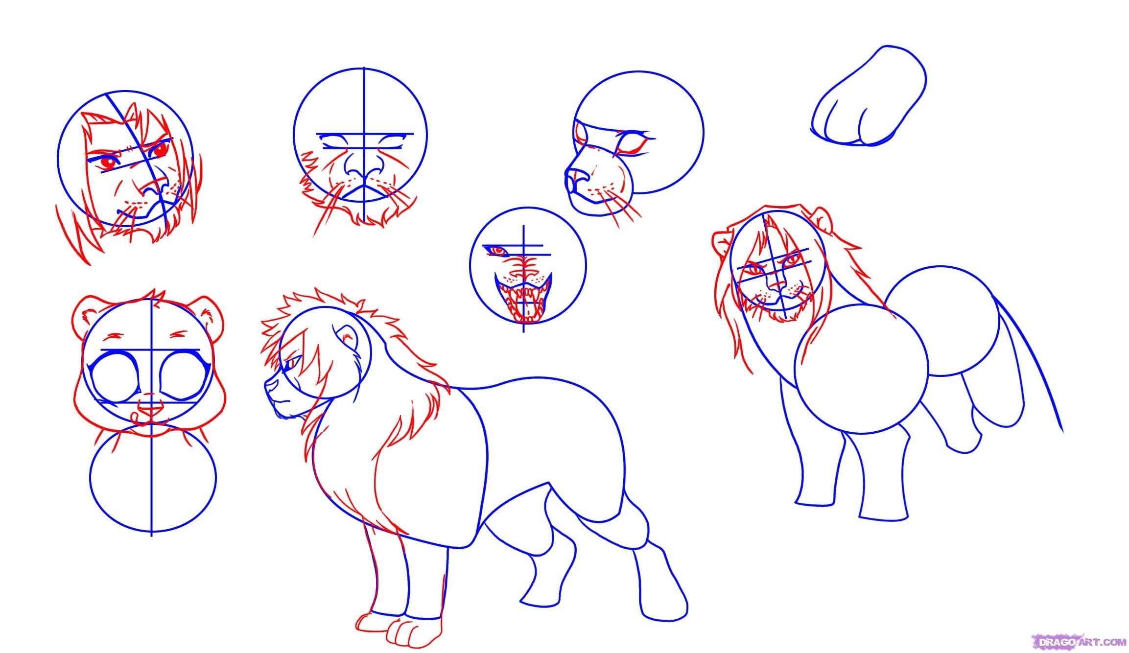 Этапы рисования Льва