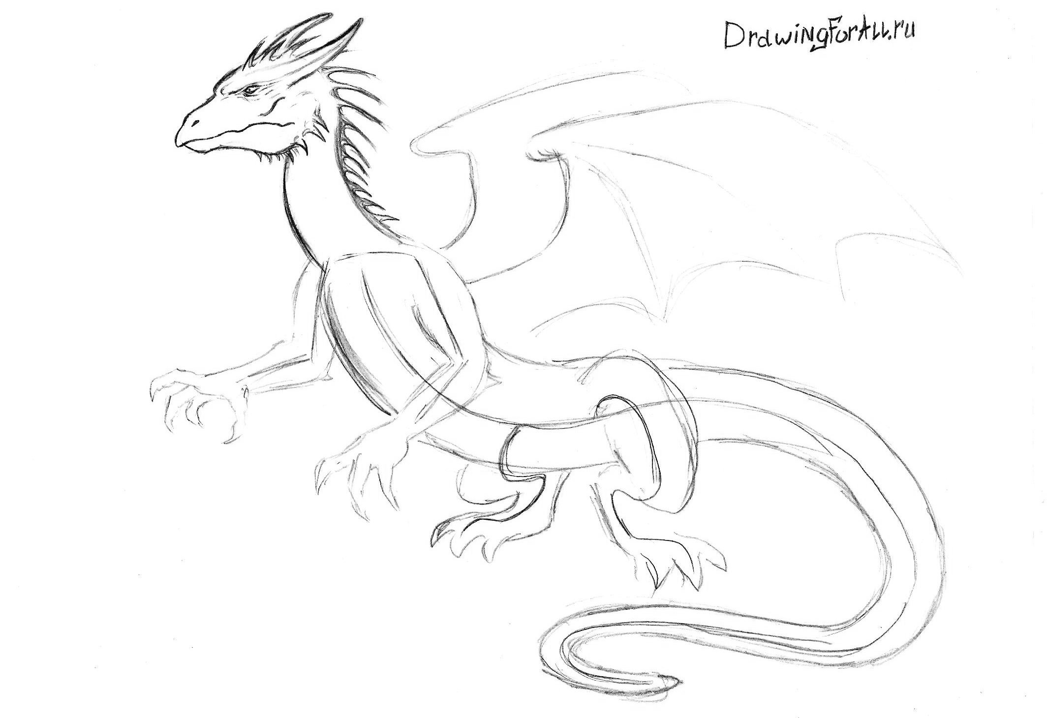 Пошаговые рисунки карандашом дракона