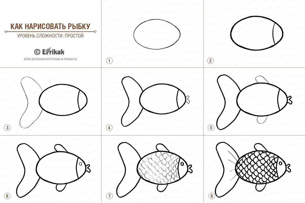 Схема рисования рыбки для детей 4-5 лет