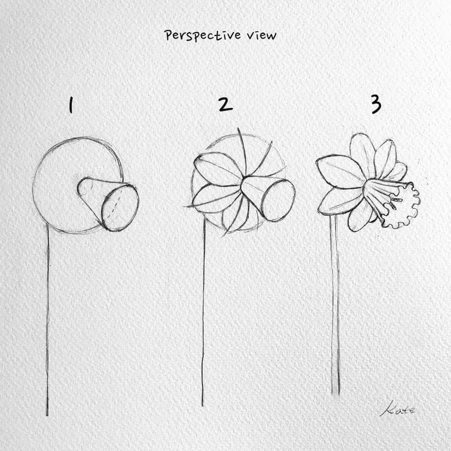 Пошаговый рисунок карандашом цветы