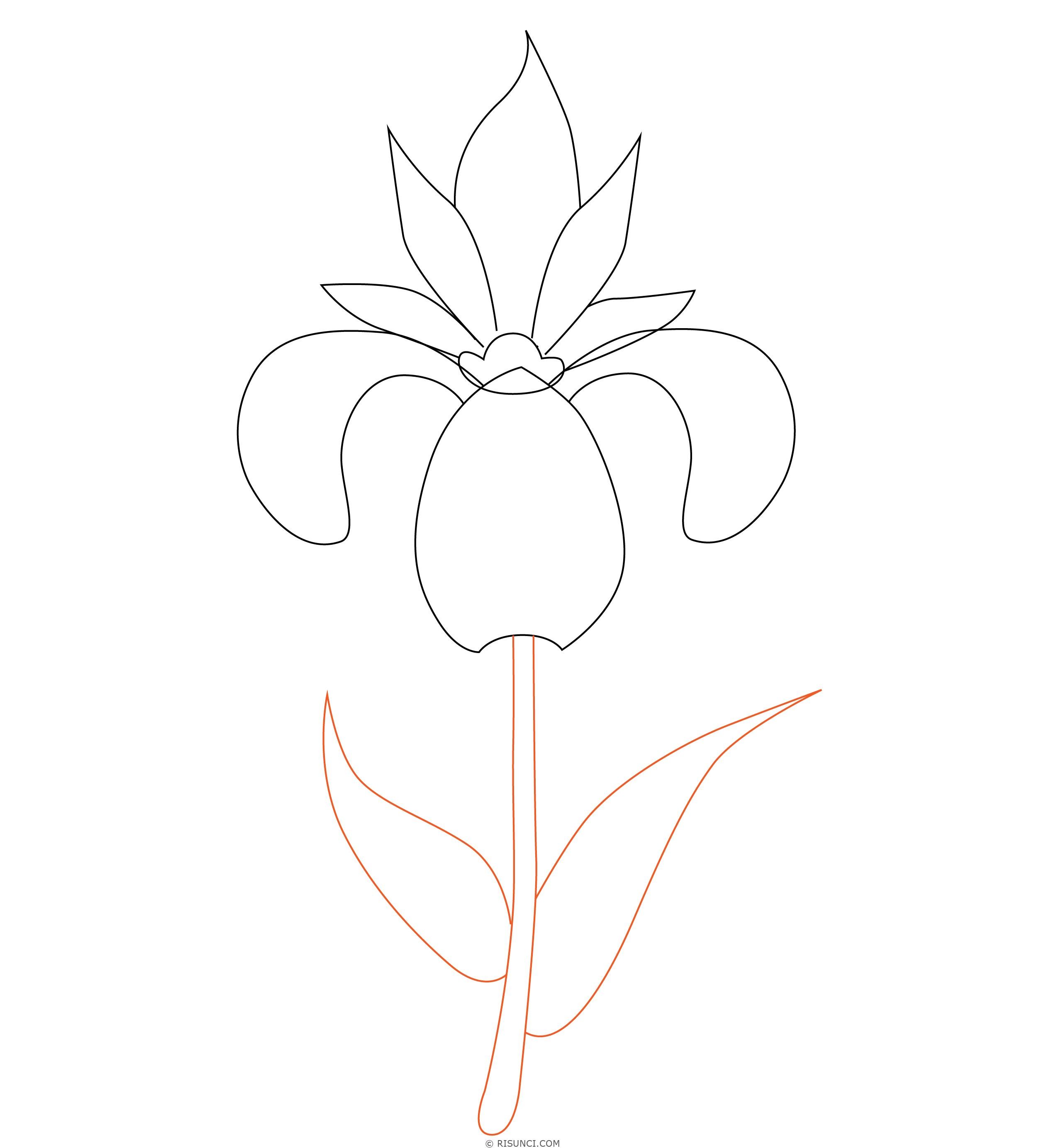 Рисунок аленький цветочек поэтапно