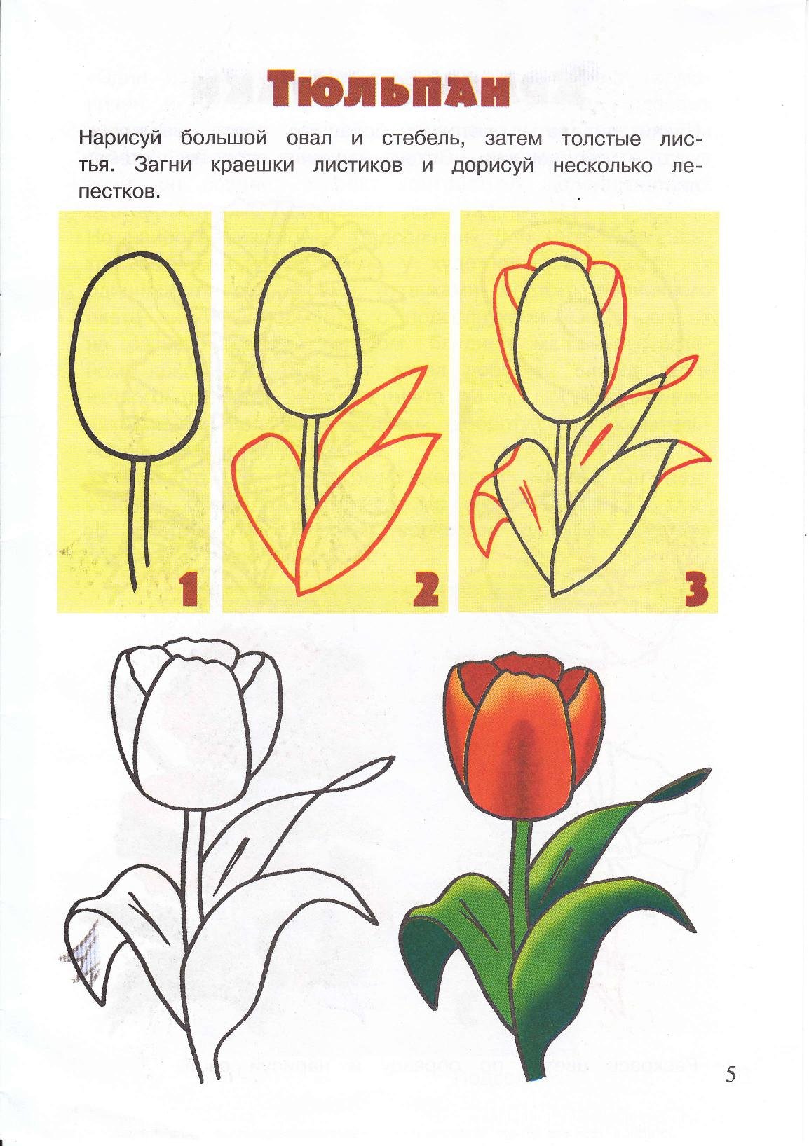 Тюльпаны с детьми средняя группа рисование