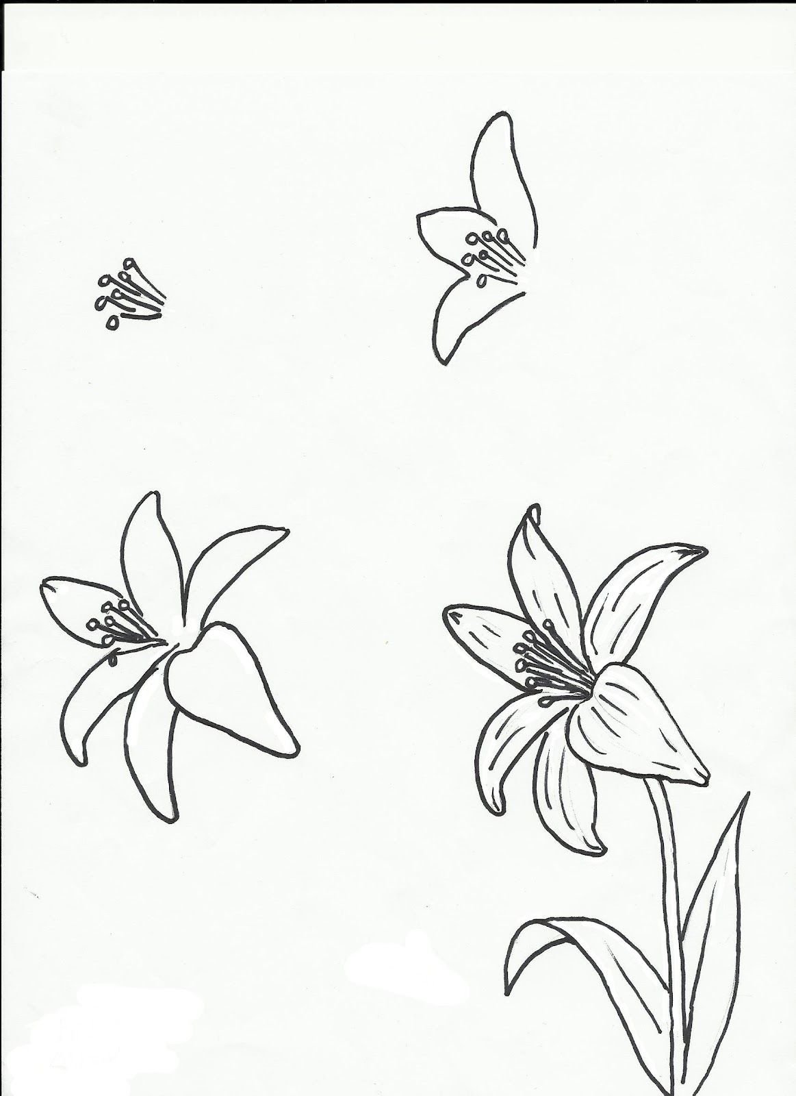 Цветы простым карандашом