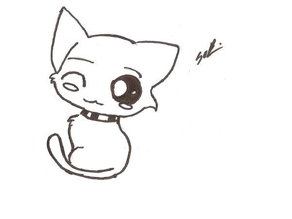 Милый котик рисунок карандашом легкий. Милые рисунки карандашом. Рисунки для срисовки котики. Рисунки котят для срисовки. Милые котята для срисовки карандашом.