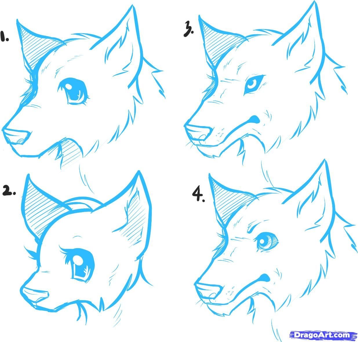Схема рисования волка для начинающих
