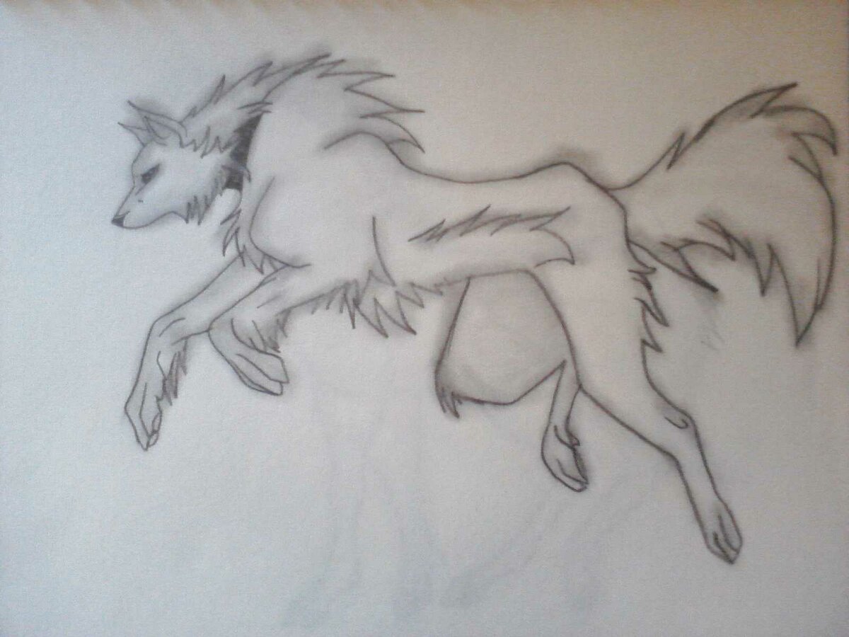 Аниме волки для срисовки карандашом