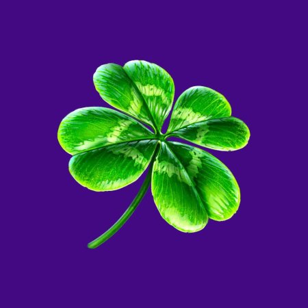 Четырехлистный Клевер» (Clover Leaf) Чарльз Джеймс