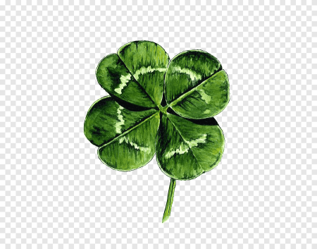Клевер четырехлистный акварель