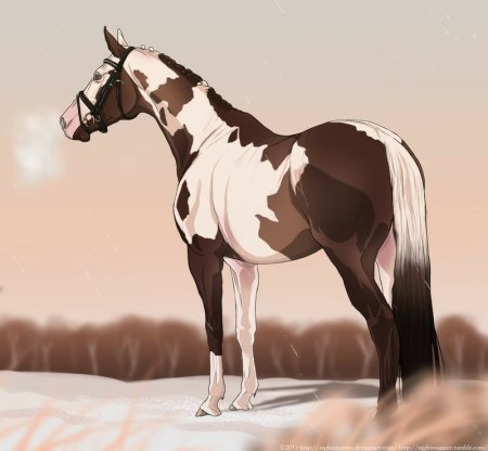 Пегая лошадь арт