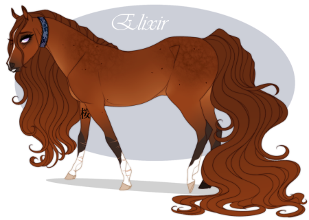 Адопты девиантарт лошади
