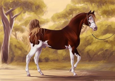 Красивая лошадь арт