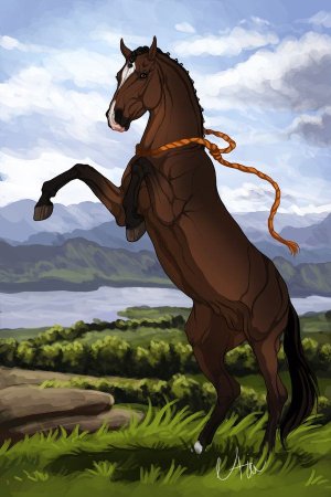 Аниме лошади