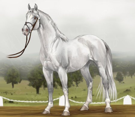 Серый конь арт