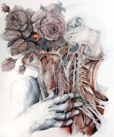 Хирург картина