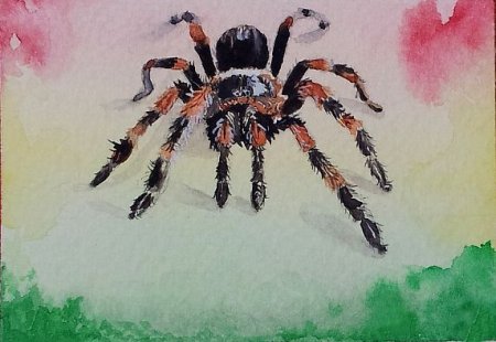 Паук живопись