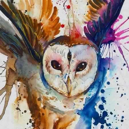 Сова сипуха арт рисуем