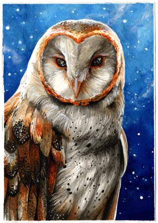 Сова сипуха фэнтези