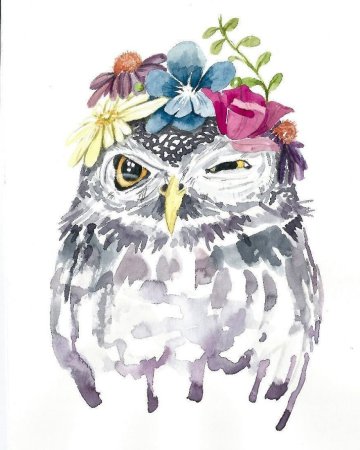 Сова скетч акварелью