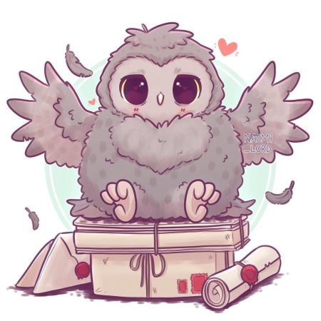 Наоми Лорд Гарри Поттер Сова