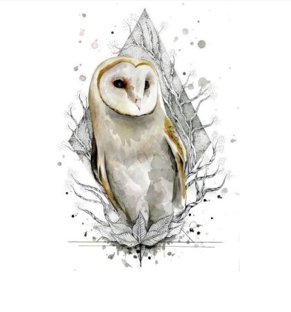 Сова сипуха Тотем