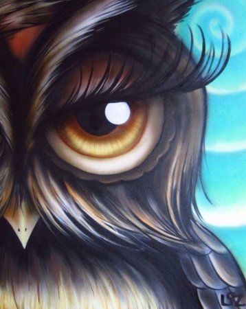 Красивая Сова арт