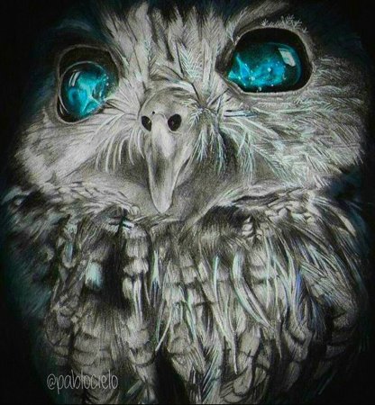 Голубая Филиппинская Сова