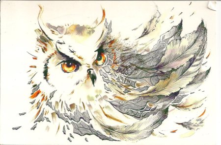 Голова Совы арт