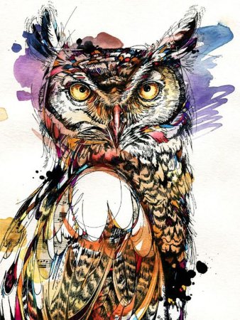 Сова Графика и акварель
