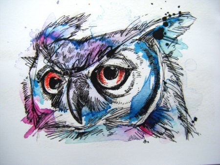 Сова акварель эскиз
