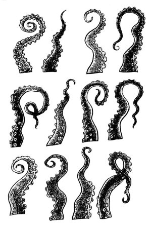 Щупальца осьминога