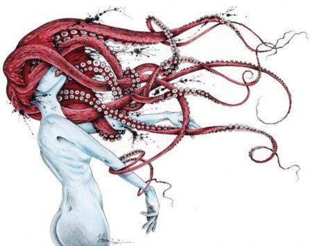 Кракен анатомия